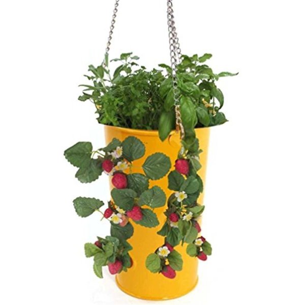 Next2Nature Enameled Galvanized Hanging Strawberry; Floral Planter - Saffron NE904567